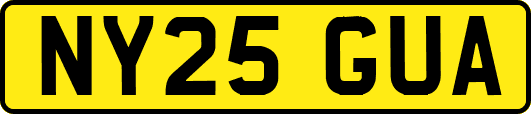 NY25GUA