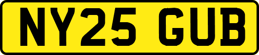 NY25GUB