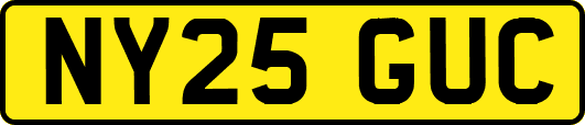 NY25GUC