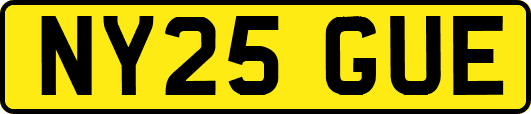 NY25GUE