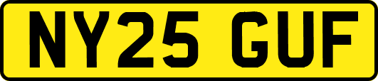 NY25GUF
