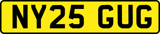 NY25GUG