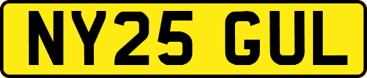 NY25GUL