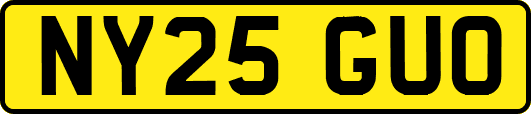 NY25GUO
