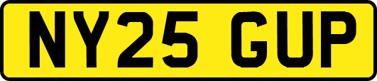 NY25GUP