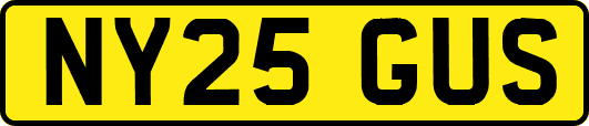 NY25GUS