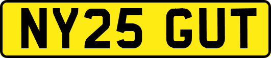 NY25GUT