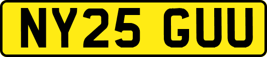 NY25GUU