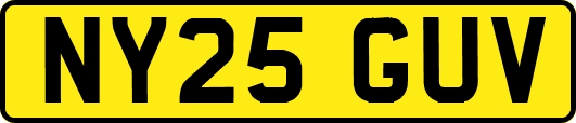 NY25GUV