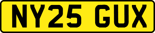 NY25GUX