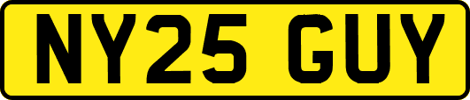 NY25GUY