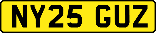 NY25GUZ