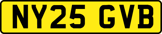 NY25GVB