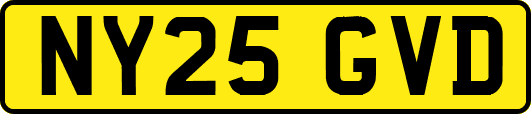 NY25GVD