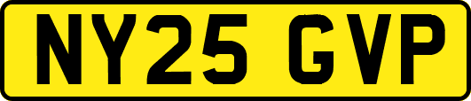 NY25GVP