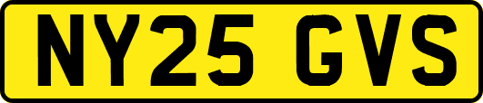 NY25GVS