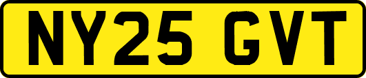NY25GVT
