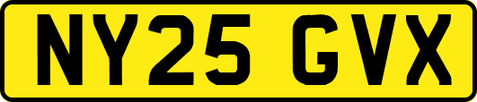 NY25GVX