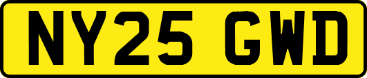 NY25GWD