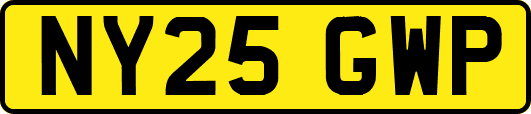 NY25GWP