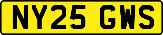 NY25GWS