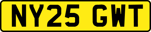 NY25GWT