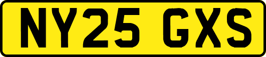 NY25GXS