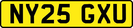 NY25GXU