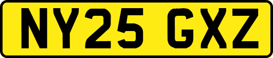 NY25GXZ