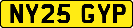 NY25GYP