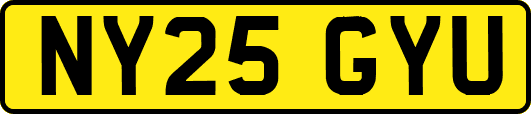 NY25GYU
