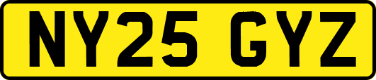 NY25GYZ