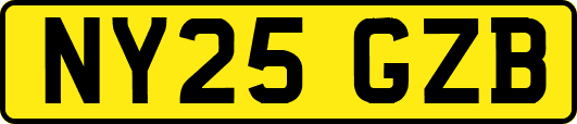 NY25GZB