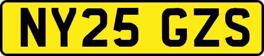 NY25GZS