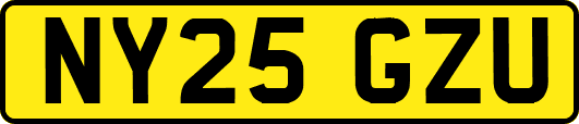 NY25GZU