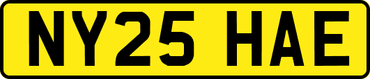 NY25HAE