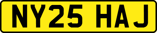 NY25HAJ
