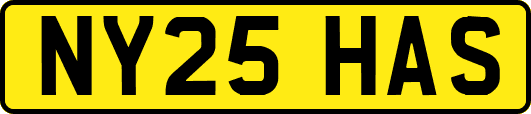 NY25HAS