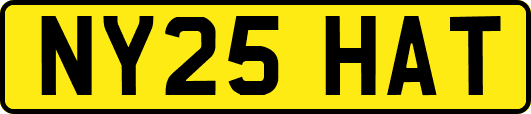 NY25HAT