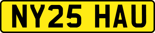 NY25HAU