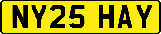NY25HAY
