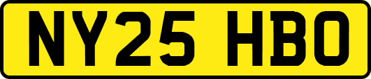 NY25HBO