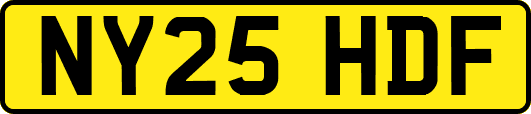 NY25HDF