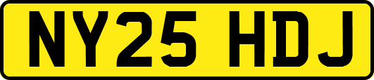 NY25HDJ