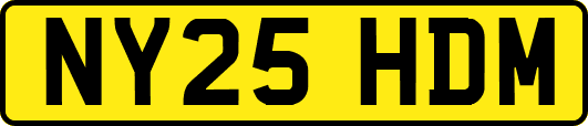 NY25HDM