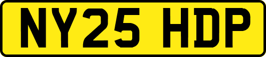 NY25HDP