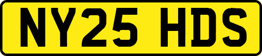 NY25HDS