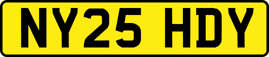 NY25HDY