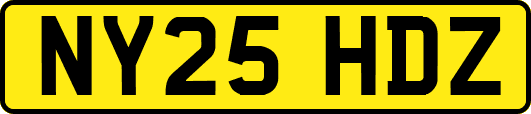NY25HDZ