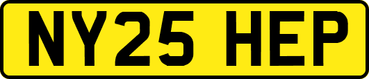 NY25HEP